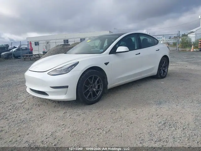 5YJ3E1EA0MF843385 — 2021 Tesla Model 3, фото 2 с аукциона IAAI 13.10.2026, Under Carriage