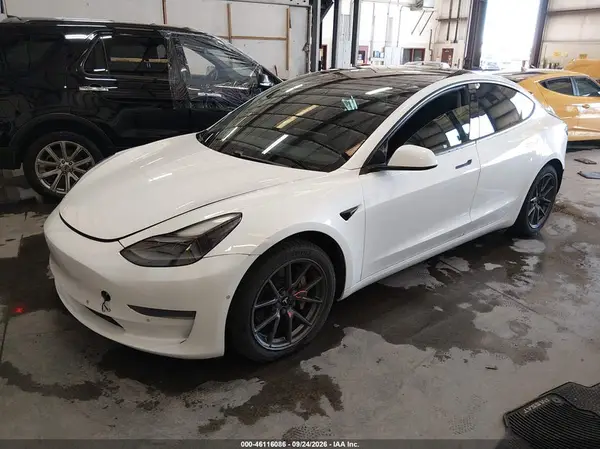 5YJ3E1EB1MF938983 — 2021 Tesla Model 3, фото 2 с аукциона IAAI, Задняя часть