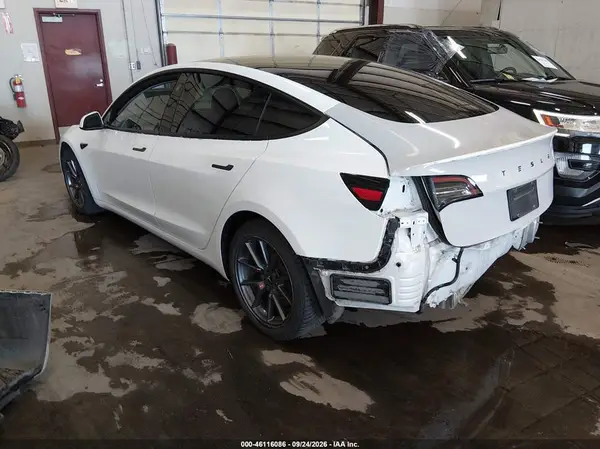 5YJ3E1EB1MF938983 — 2021 Tesla Model 3, фото 3 с аукциона IAAI, Задняя часть