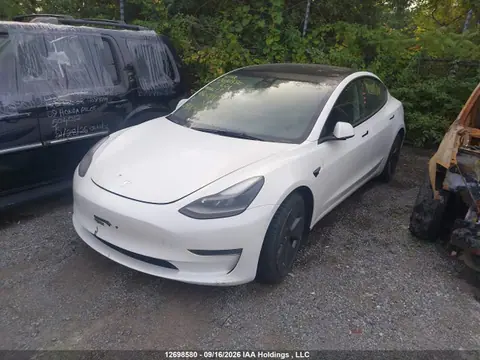 2023 Tesla MODEL 3 VIN 5YJ3E1EA5PF480389 фото 2