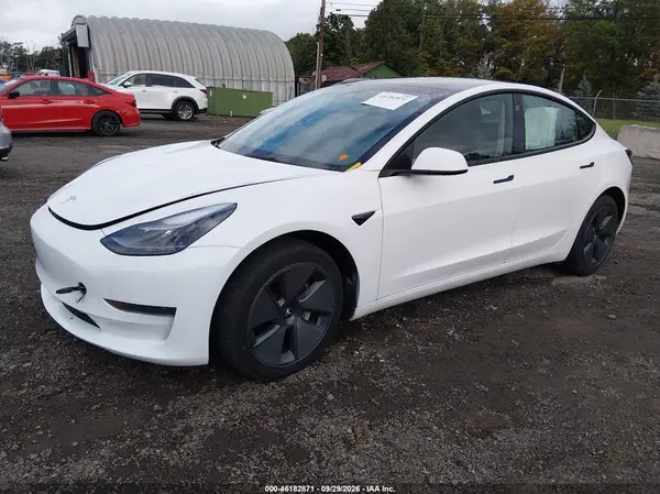 5YJ3E1EA7PF504336 — 2023 Tesla Model 3, фото 2 с аукциона IAAI, Подтопление