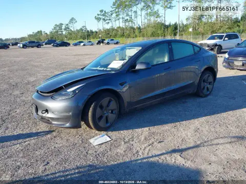 2023 Tesla Model 3 Long Range Dual Motor All-Wheel Drive VIN 5YJ3E1EB1PF665161 фото 2