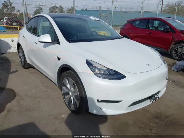 2021 Tesla Model Y Long Range Dual Motor All-wheel Drive VIN 5YJYGDEE0MF161210 фото 1