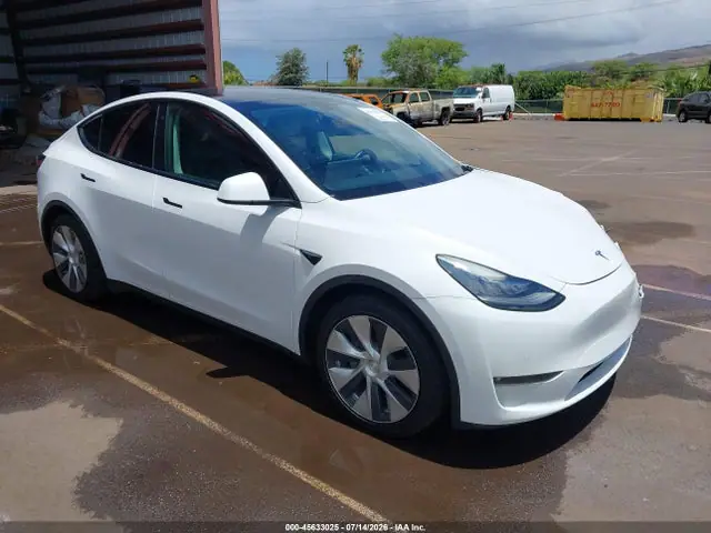 5YJYGAEEXMF253052 — 2021 Tesla Model Y Long Range Dual Motor ALL-Wheel Drive, Передняя часть (Front End), фото до ремонта