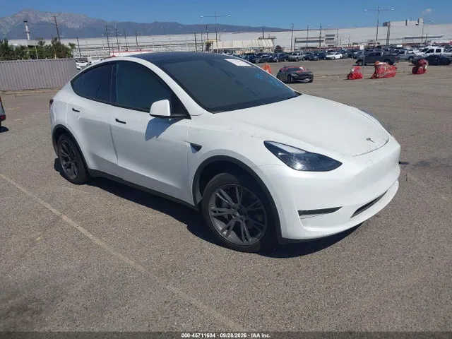 2024 Tesla Model Y Long Range Dual Motor All-wheel Drive VIN 7SAYGAEE1RF169051 фото 1