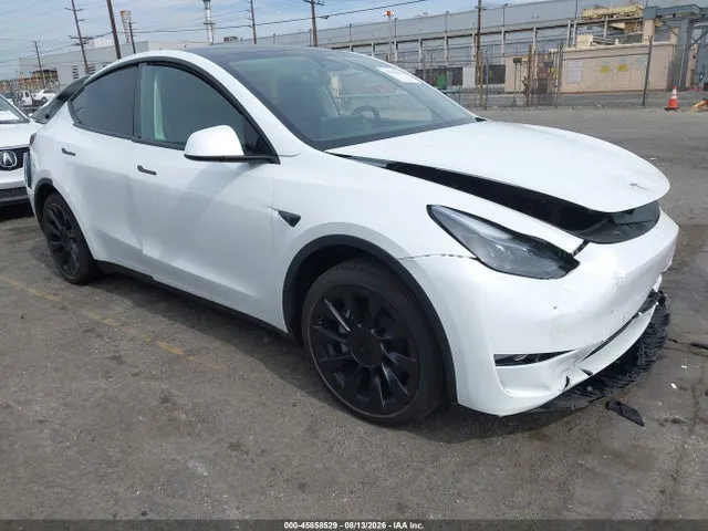2025 Tesla Model Y Long Range Dual Motor Rear-wheel Drive VIN 7SAYGDED7SF312941 фото 1