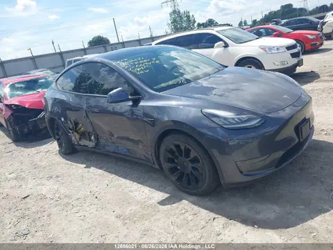 5YJYGDEE4MF067458 — 2021 Tesla Model Y Long Range, Правый бок (Right Side), фото до ремонта
