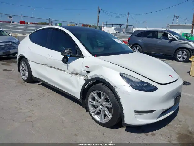 5YJYGDED3MF123395 — 2021 Tesla Model Y Standard Range, Правый бок (Right Side), фото до ремонта