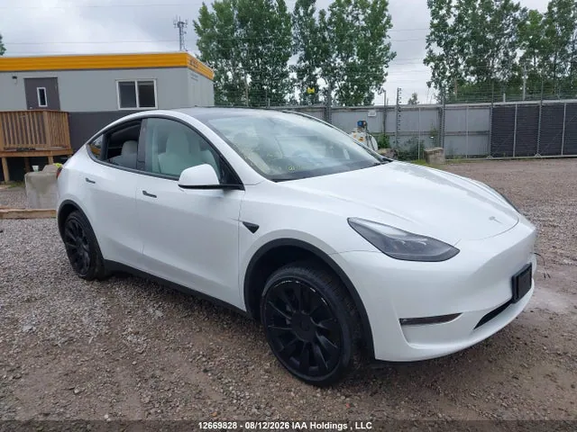 2023 Tesla Model Y VIN 7SAYGDEE5PF777556 фото 1
