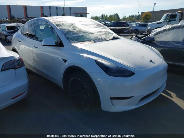 2023 Tesla Model Y VIN 7SAYGDEE3PF759055 фото 1