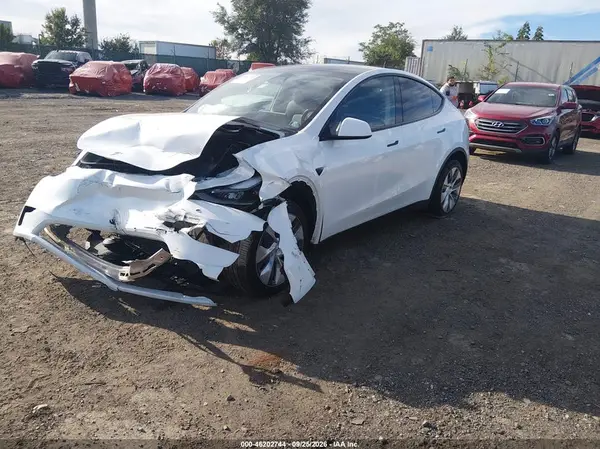 2024 TESLA MODEL Y VIN 7SAYGDEE3RA262202 фото 2