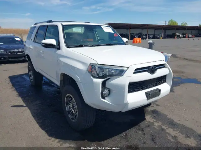 JTEBU5JR2L5759582 — 2020 Toyota 4RUNNER SR5 Premium, Задняя часть (Rear), фото до ремонта