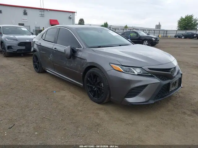 4T1B11HK5KU816744 — 2019 Toyota Camry SE, Правый бок (Right Side), фото до ремонта