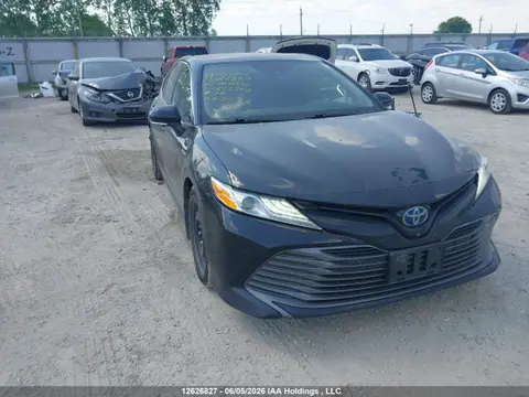 4T1B21HK8LU522950 — 2020 Toyota Camry XLE/SE, Задняя часть (Rear), фото до ремонта