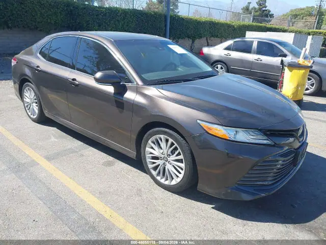 4T1B11HK3KU766393 — 2019 Toyota Camry XLE, Левый бок (Left Side), фото до ремонта