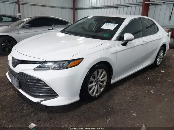 4T1B11HK0KU174823 — 2019 Toyota Camry, фото 2 с аукциона IAAI, Подтопление