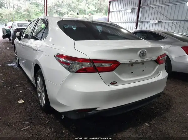 4T1B11HK0KU174823 — 2019 Toyota Camry, фото 3 с аукциона IAAI, Подтопление