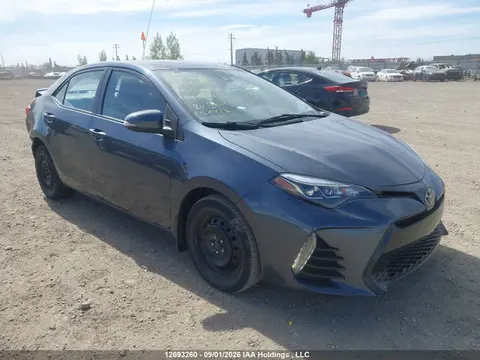 2T1BURHE1KC160480 — 2019 Toyota Corolla L/LE/XLE/SE/XSE, Задняя часть (Rear), фото до ремонта