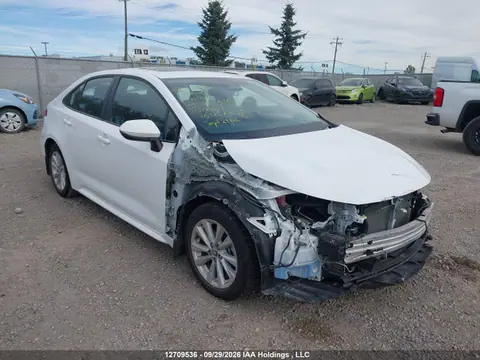 5YFB4MDEXRP182917 — 2024 Toyota Corolla LE, Передняя часть (Front), фото до ремонта