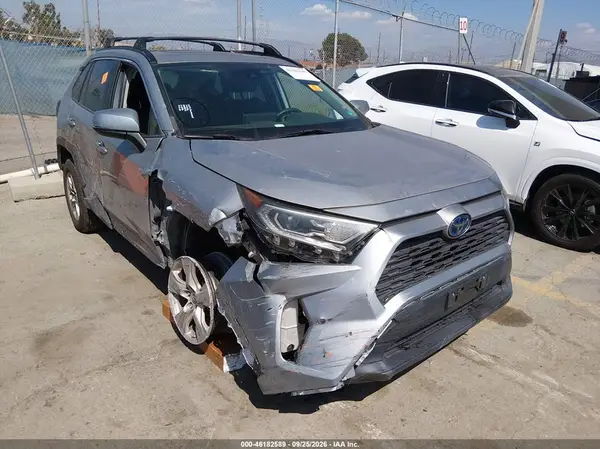 JTMRWRFV1KD010058 — 2019 Toyota RAV4, Биологическая или химическая опасность (Biohazard), фото до ремонта