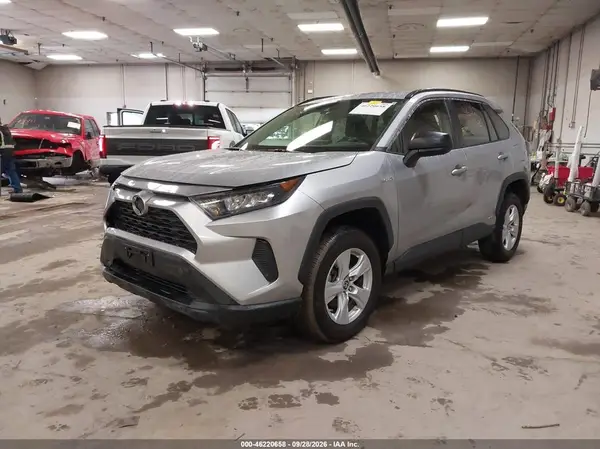 JTMLWRFVXKD039497 — 2019 Toyota RAV4, фото 2 с аукциона IAAI, Задняя часть