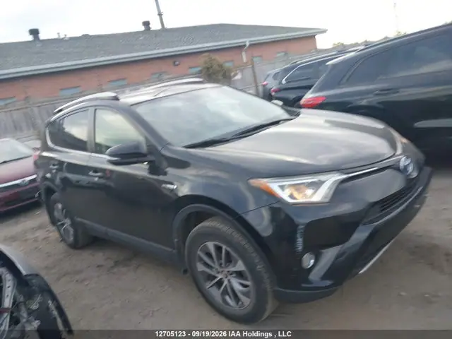 JTMRJREV8GD019086 — 2016 Toyota RAV4 HV XLE, Задняя часть (Rear), фото до ремонта