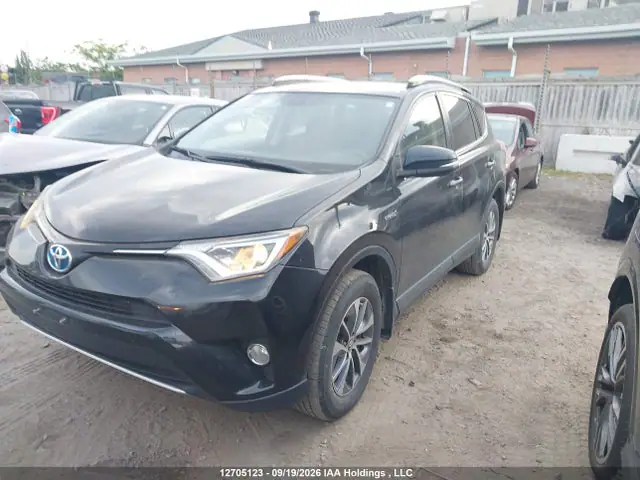 JTMRJREV8GD019086 — 2016 Toyota RAV4 HV XLE, фото 2 с аукциона IAAI 14.10.2026, Задняя часть