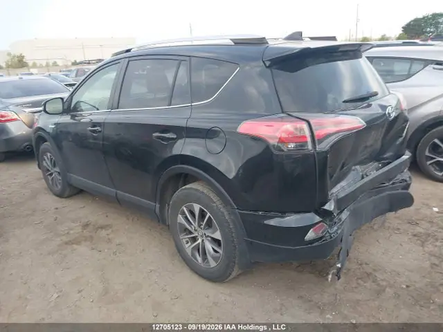 JTMRJREV8GD019086 — 2016 Toyota RAV4 HV XLE, фото 3 с аукциона IAAI 14.10.2026, Задняя часть