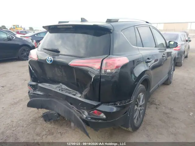 JTMRJREV8GD019086 — 2016 Toyota RAV4 HV XLE, фото 4 с аукциона IAAI 14.10.2026, Задняя часть