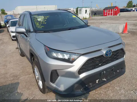 2T3BWRFV8LW101074 — 2020 Toyota RAV4 Hybrid LE, Задняя часть (Rear), фото до ремонта