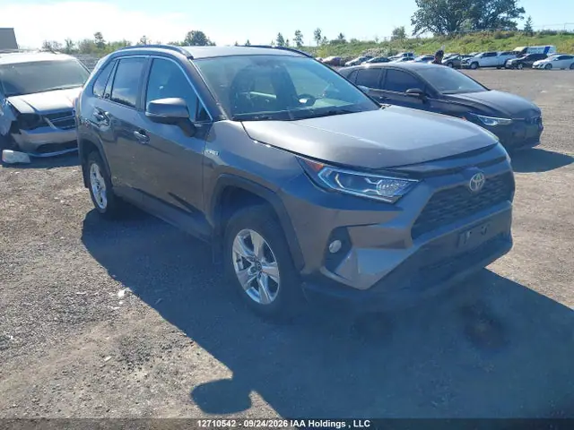 2T3RWRFV3LW077894 — 2020 Toyota RAV4 Hybrid XLE, Задняя часть (Rear), фото до ремонта