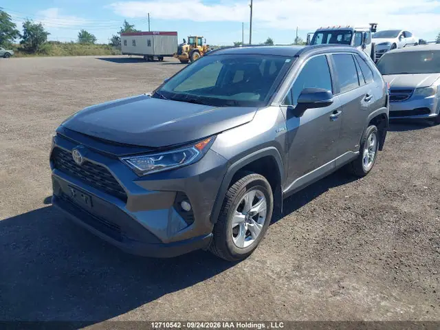 2T3RWRFV3LW077894 — 2020 Toyota RAV4 Hybrid XLE, фото 2 с аукциона IAAI 14.10.2026, Задняя часть