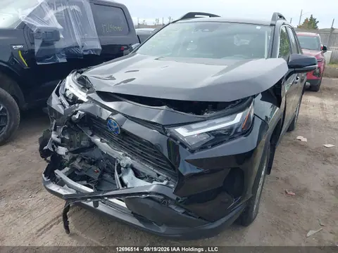 2024 Toyota Rav4 Hybrid Xle VIN 2T3RWRFV4RW192352 фото 2