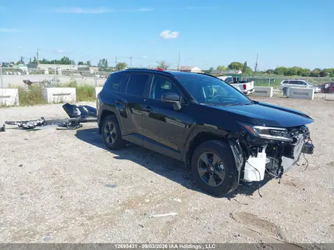 2026 Toyota Rav4 Le/xle Premium/woodland/se/xse/limited VIN 2T36CRAV7TC024040 фото 1