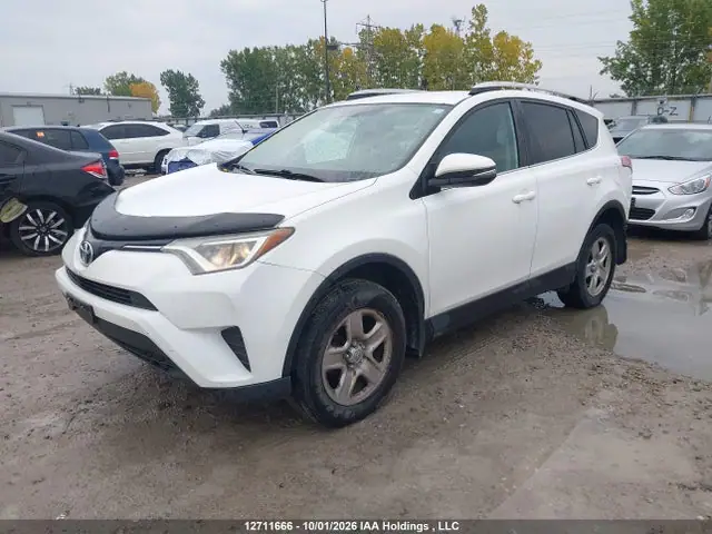 2T3BFREVXGW417440 — 2016 Toyota RAV4 LE, фото 2 с аукциона IAAI 13.10.2026, Задняя часть