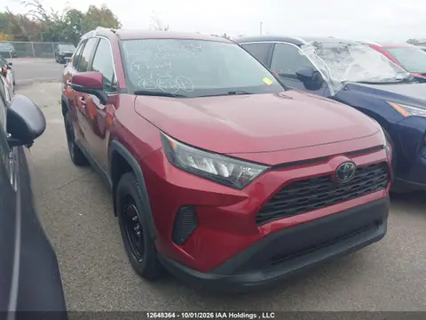 2T3B1RFV3KC058603 — 2019 Toyota RAV4 LE, Крыша (Roof Damage), фото до ремонта