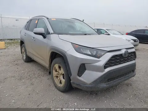 2T3B1RFV6KC037406 — 2019 Toyota RAV4 LE, Bio Hazard, фото до ремонта
