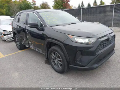 2T3Z1RFV4KW020312 — 2019 Toyota RAV4 LE, Правый бок (Right Side), фото до ремонта