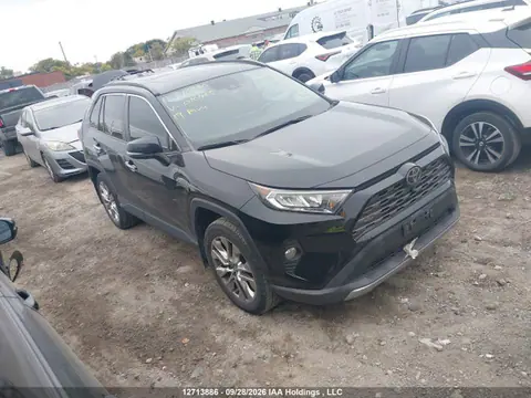 2T3D1RFV9KW010465 — 2019 Toyota RAV4 Limited, Подтопление (Water), фото до ремонта