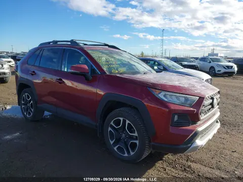 2019 Toyota Rav4 Trail VIN 2T3J1RFV9KW063234 фото 1