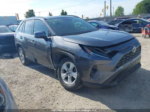 2T3RWRFV5MW123405 — 2021 Toyota RAV4 XLE, Передняя часть (Front), фото до ремонта