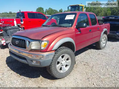 5TEGM92N01Z865049 — 2001 Toyota Tacoma, фото 3 с аукциона IAAI, Боковая часть