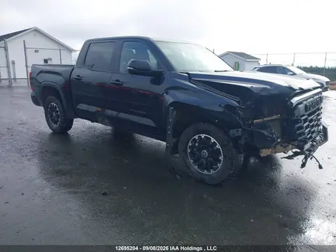 2023 Toyota Tundra Crewmax Sr/crewmax Sr5 VIN 5TFLA5DB4PX081623 фото 1