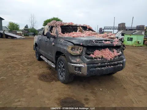 2017 Toyota Tundra Crewmax Sr5/trd Pro VIN 5TFDY5F18HX668848 фото 1