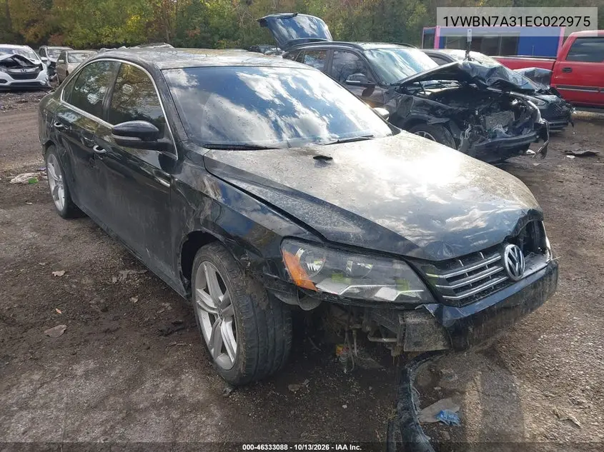 2014 Volkswagen Passat 2.0L Tdi Se VIN 1VWBN7A31EC022975 фото 1