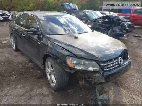 1VWBN7A31EC022975 — 2014 Volkswagen Passat, Передняя часть, фото до ремонта