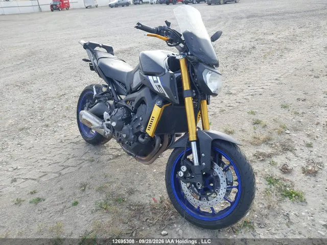 2015 Yamaha FZ09 VIN JYARN33N1FA001917 фото 1