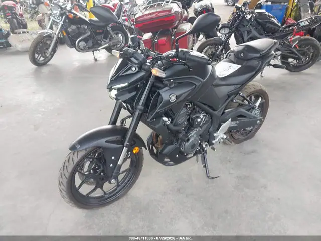 MH3RH28E7SK001876 — 2025 Yamaha MTN320 A, фото 2 с аукциона IAAI 30.09.2026, Правый бок