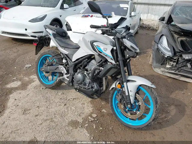 MH3RH28Y0SK001339 — 2025 Yamaha MTN320 Ac, Левый бок (Left Side), фото до ремонта